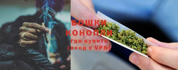 прущие грибы Аркадак