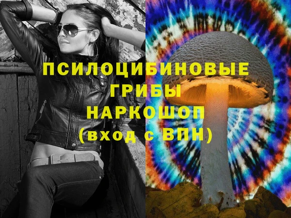 PSILOCYBIN Беломорск