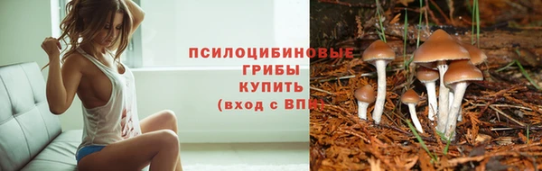 марки lsd Белокуриха