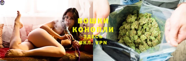 PSILOCYBIN Беломорск