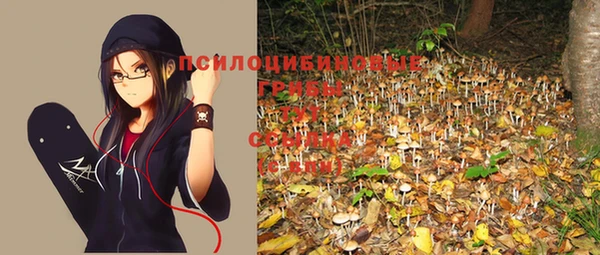 PSILOCYBIN Беломорск