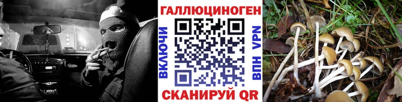 МЕГА как войти  хочу наркоту  Унеча  Галлюциногенные грибы ЛСД 