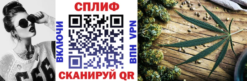 магазин продажи наркотиков  Унеча  Каннабис Ganja 